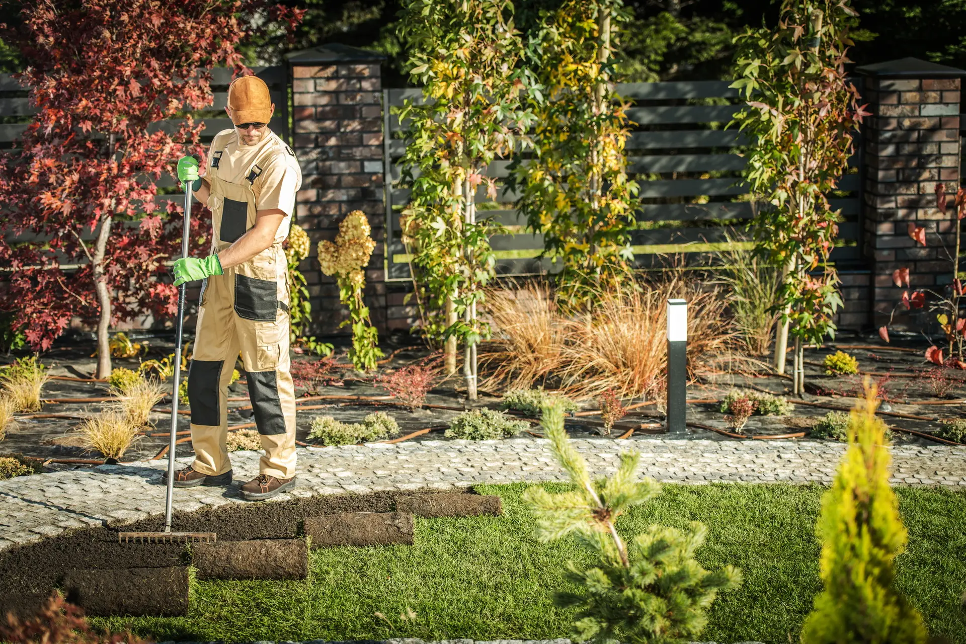 Male Gardener Installing New Turf In Residential Yard.