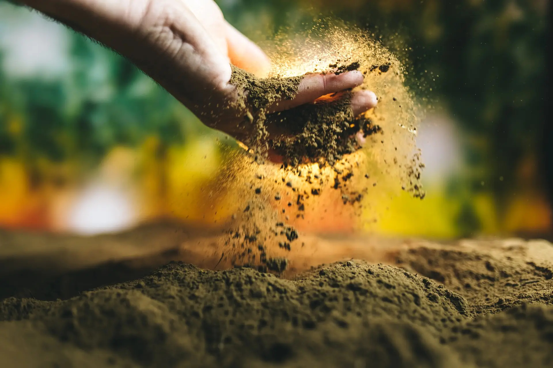 A beautiful close-up shot of a palm resting on the rich, brown soil,
