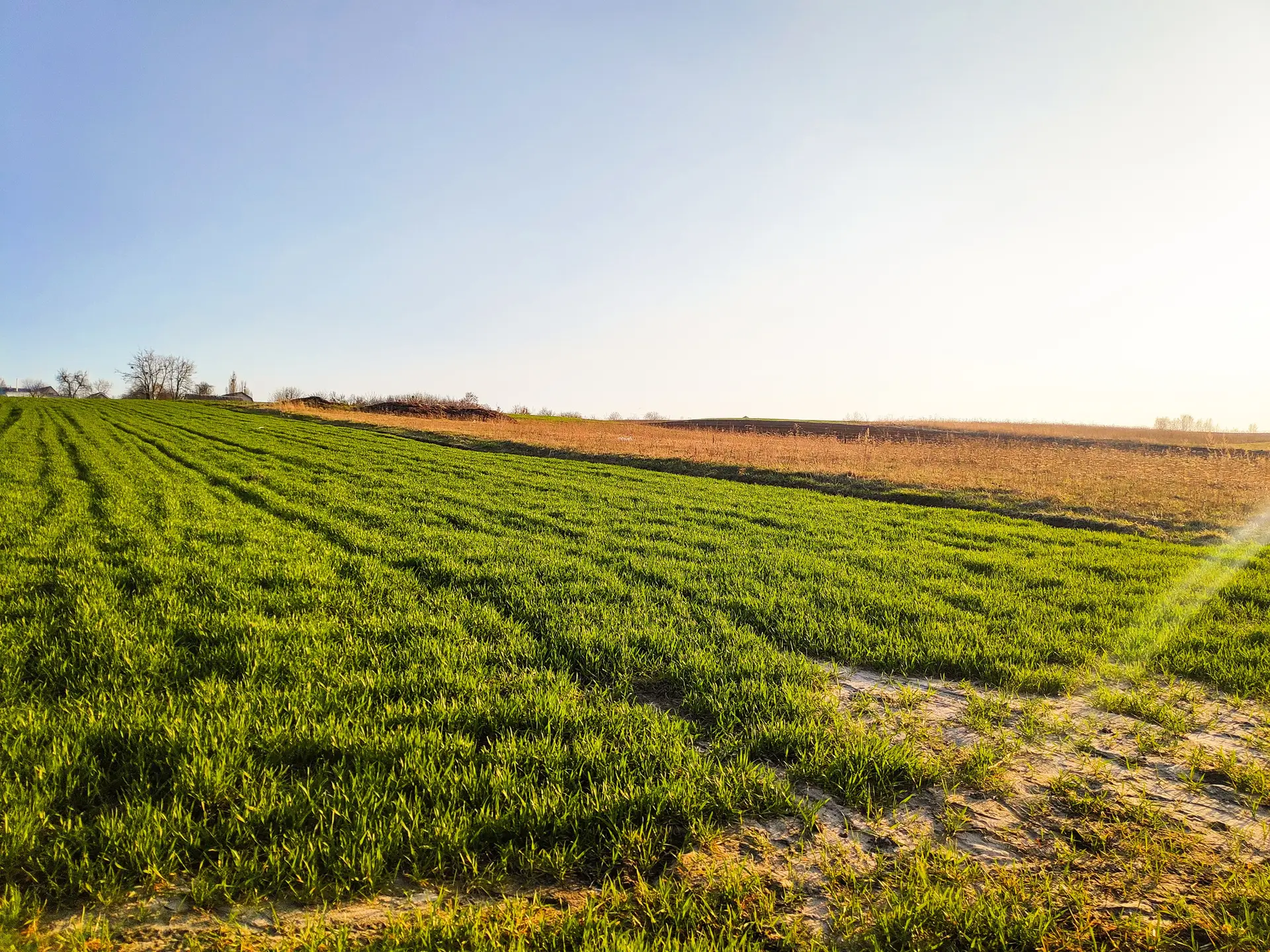 Plowed field planting crops grass in meadow. planting process, ploughed soil, agriculture nature